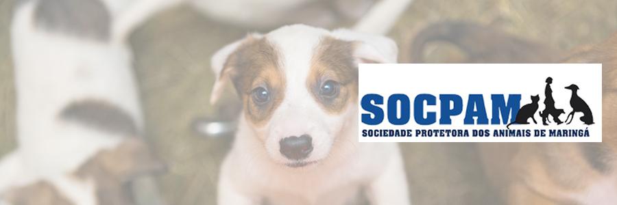  SOCPAM - Sociedade Protetora dos Animais de Maringá